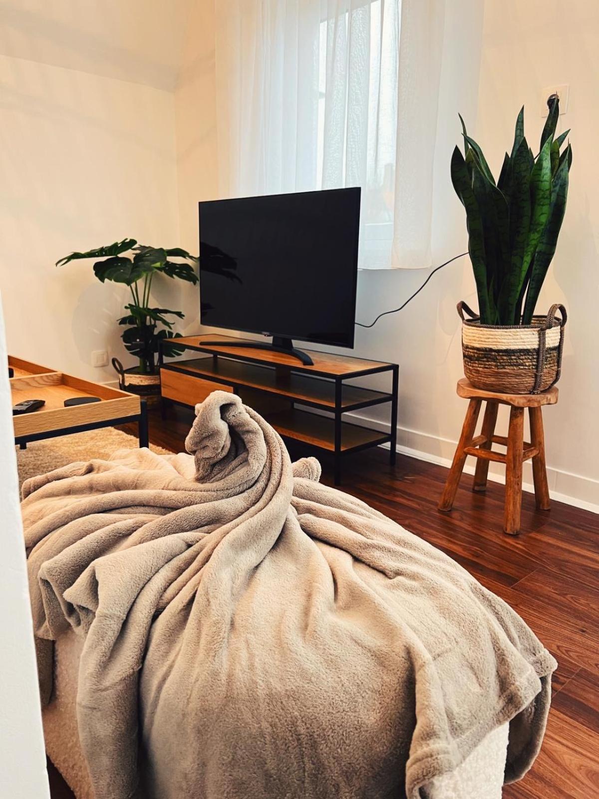Studio Bella De Panne Kültér fotó